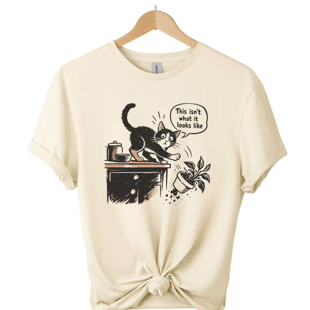 This Isnt What It Looks Like Cat T-Shirt