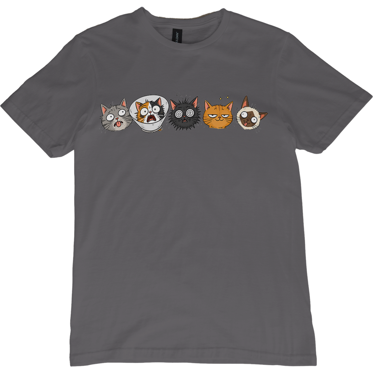 I Was Normal 5 Vets Ago Cat T-Shirt