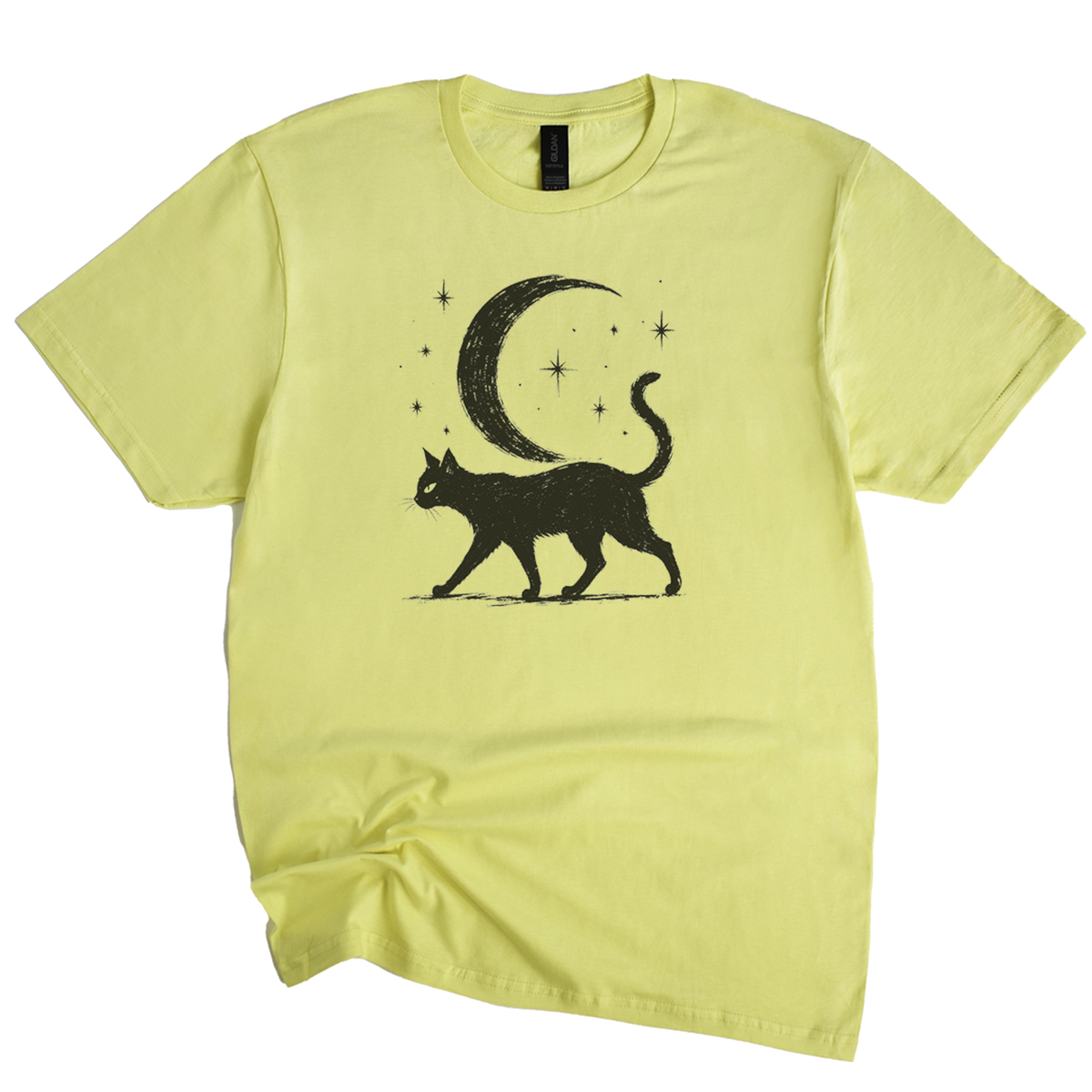 Midnight Prowler Black Cat