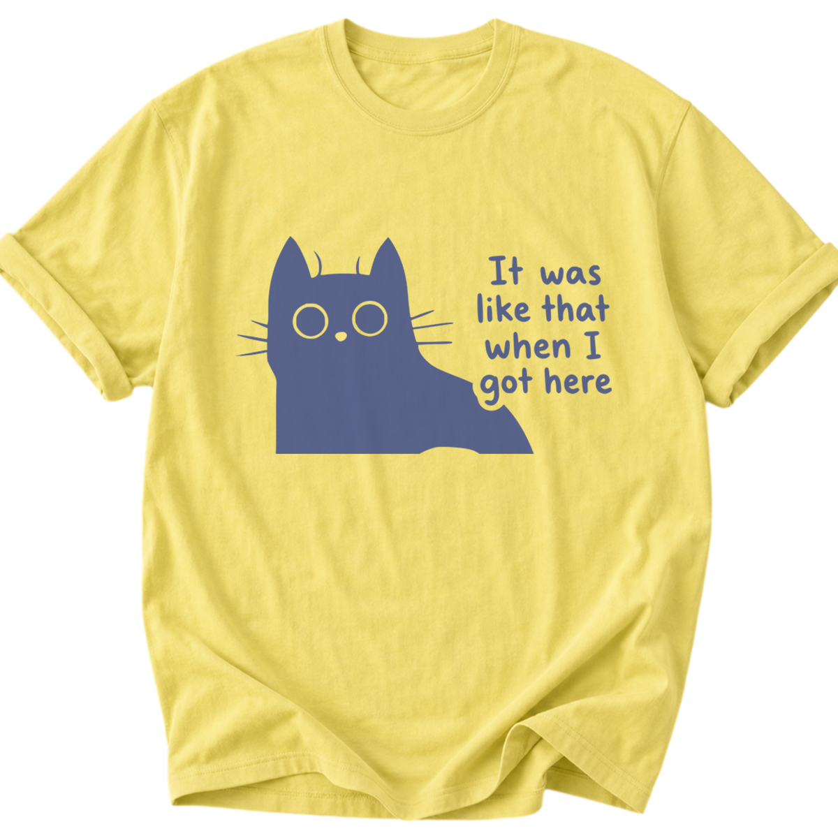 It Was Like That Cat T-Shirt