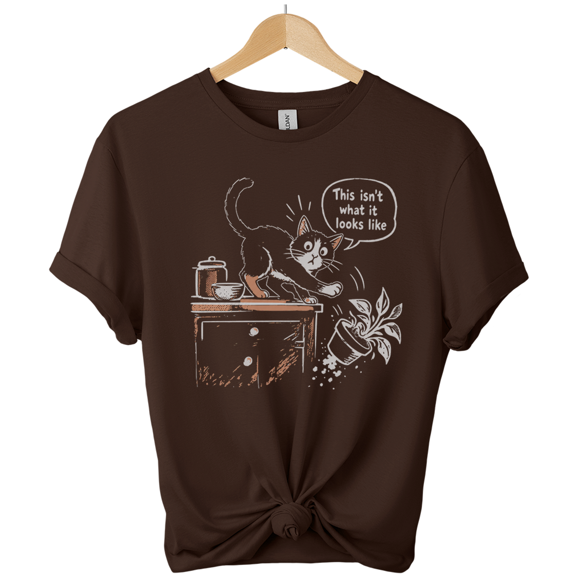 This Isnt What It Looks Like Cat T-Shirt