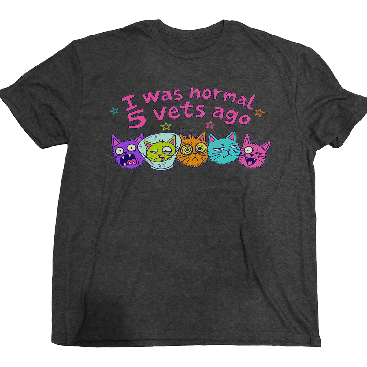 I Was Normal 5 Vets Ago Cat T-Shirt