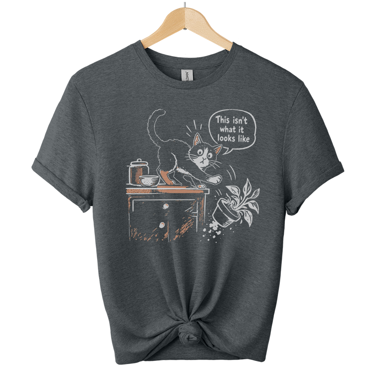This Isnt What It Looks Like Cat T-Shirt