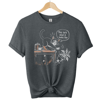 This Isnt What It Looks Like Cat T-Shirt