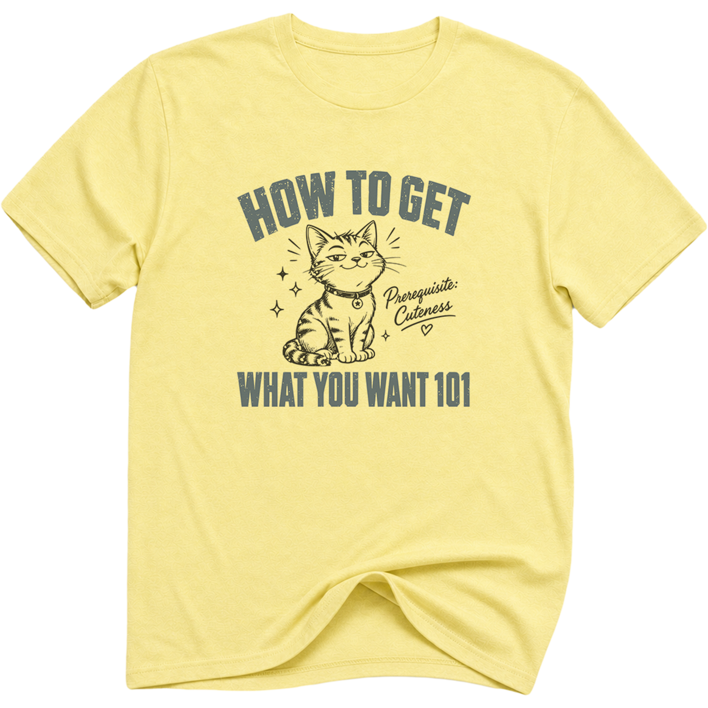 How To Get What You Want 101 Cat T-Shirt