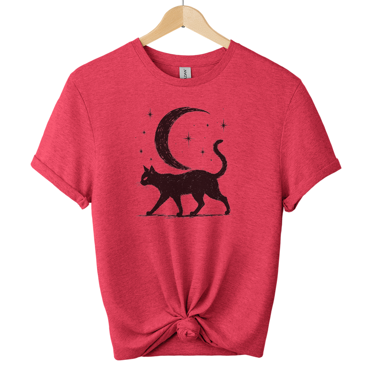 Midnight Prowler Black Cat