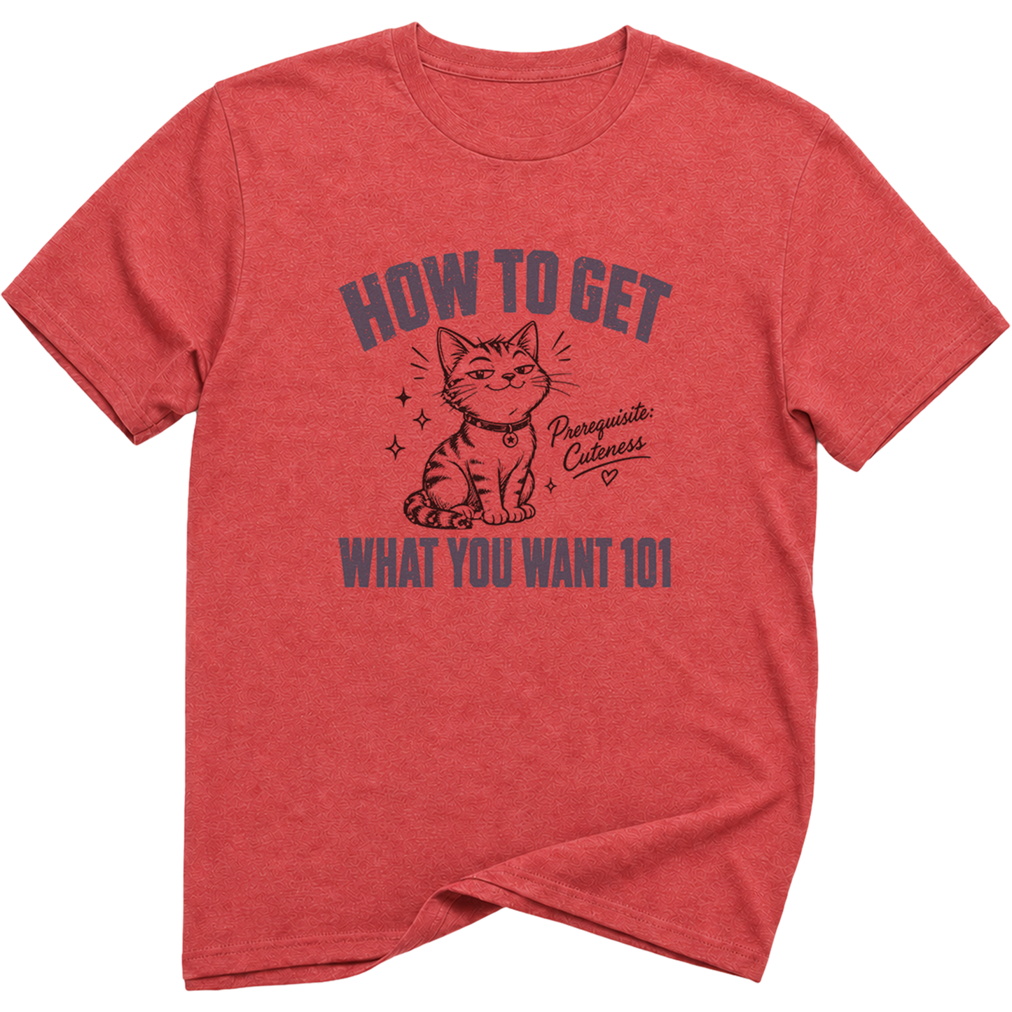 How To Get What You Want 101 Cat T-Shirt