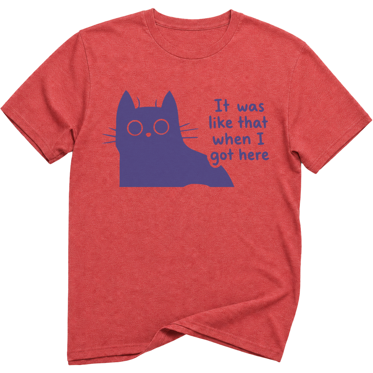 It Was Like That Cat T-Shirt