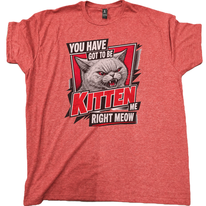Youve Got To Be Kitten Me Cat T-Shirt