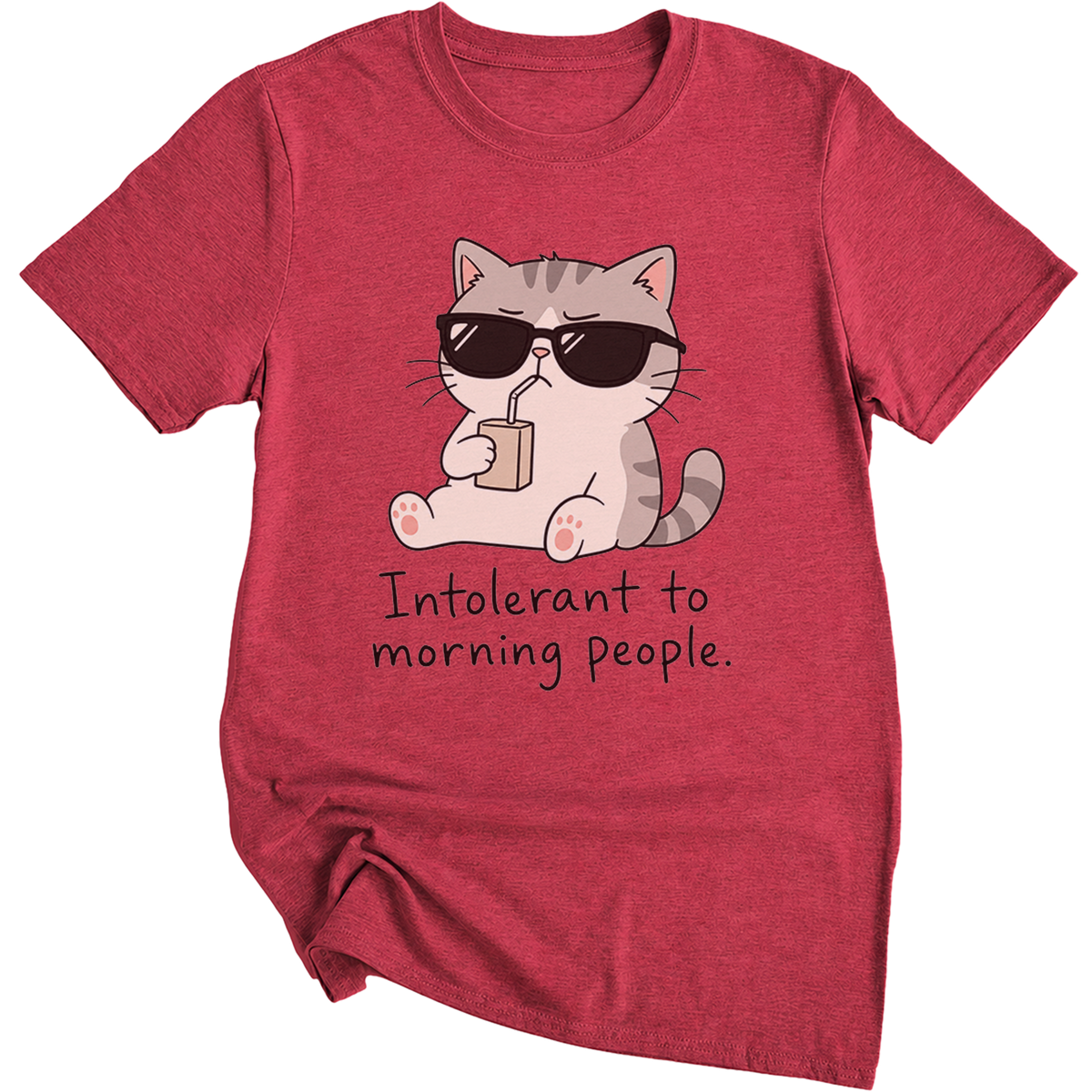 Intolerant To Morning People Cat T-Shirt