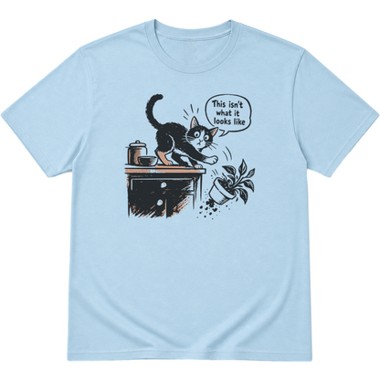 This Isnt What It Looks Like Cat T-Shirt