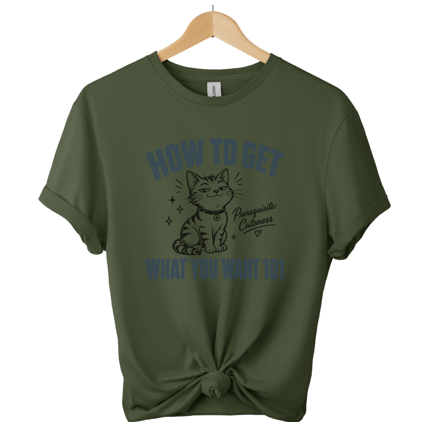 How To Get What You Want 101 Cat T-Shirt