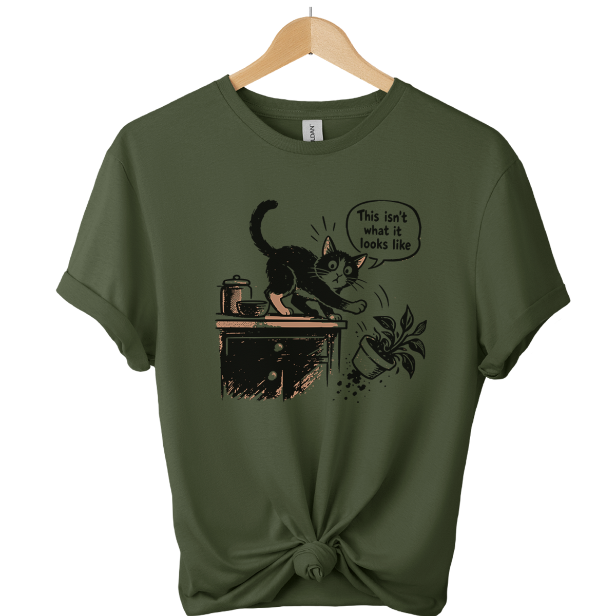 This Isnt What It Looks Like Cat T-Shirt