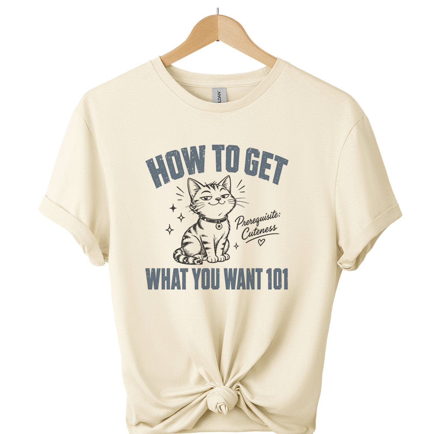 How To Get What You Want 101 Cat T-Shirt
