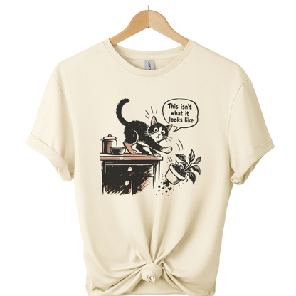 This Isnt What It Looks Like Cat T-Shirt