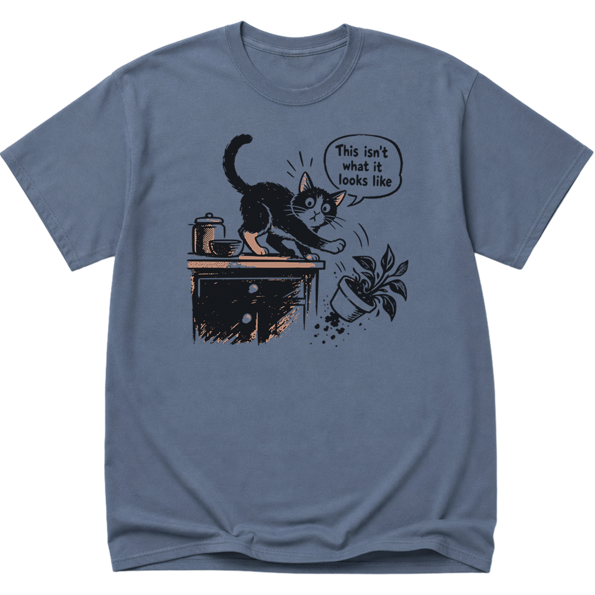 This Isnt What It Looks Like Cat T-Shirt