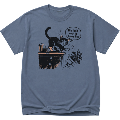 This Isnt What It Looks Like Cat T-Shirt