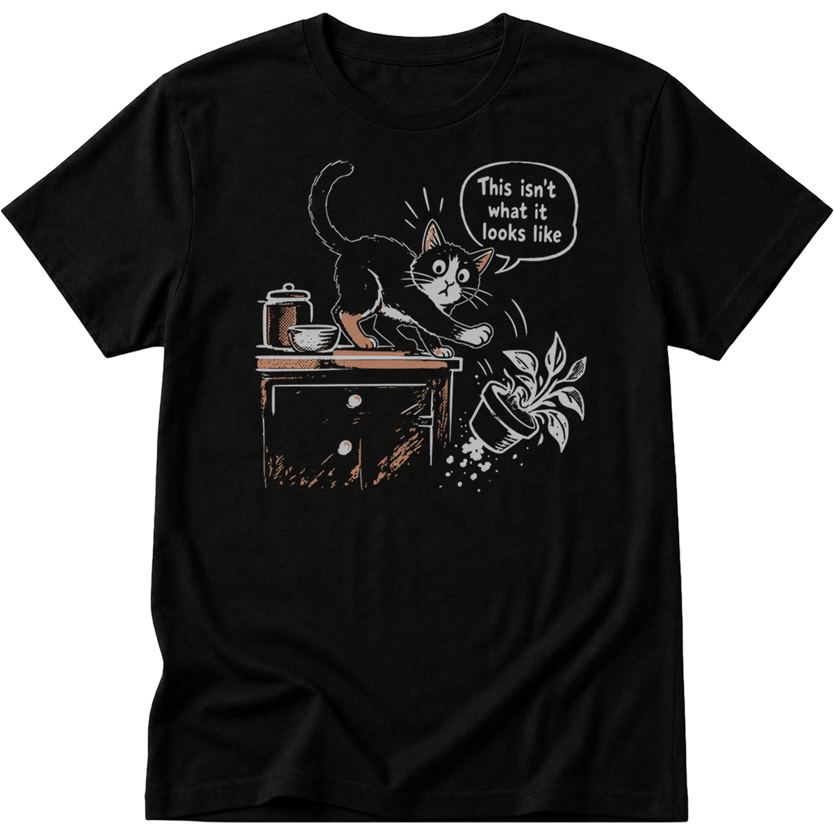 This Isnt What It Looks Like Cat T-Shirt