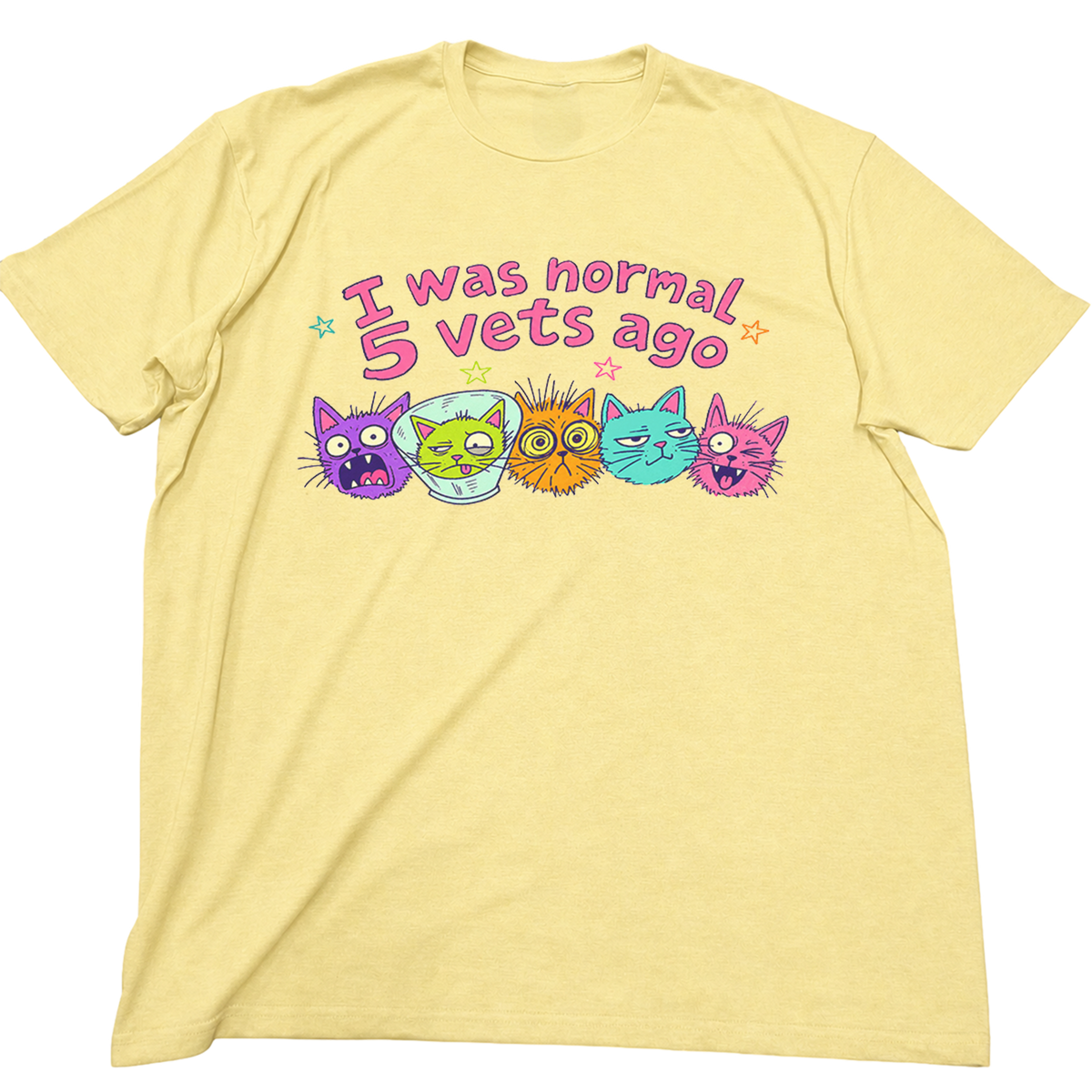 I Was Normal 5 Vets Ago Cat T-Shirt