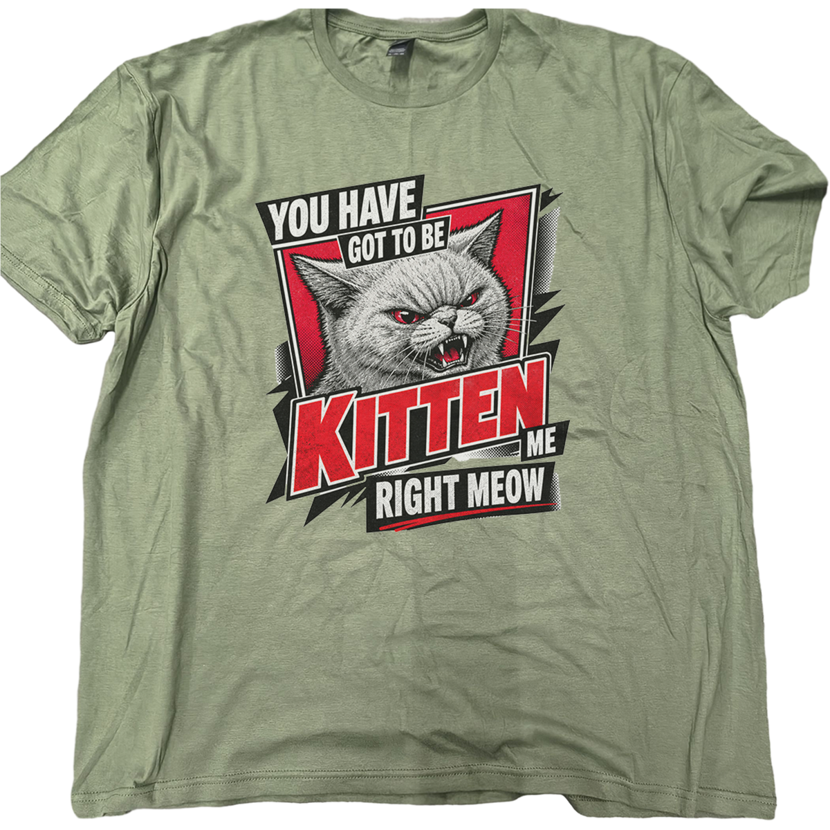 Youve Got To Be Kitten Me Cat T-Shirt