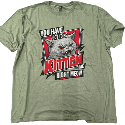Youve Got To Be Kitten Me Cat T-Shirt