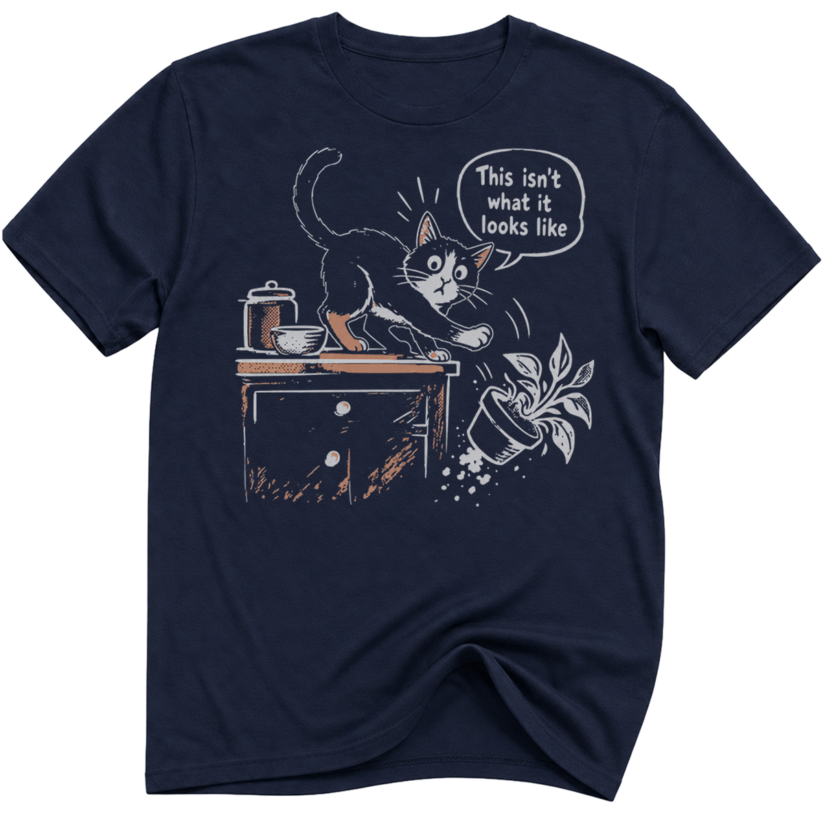 This Isnt What It Looks Like Cat T-Shirt
