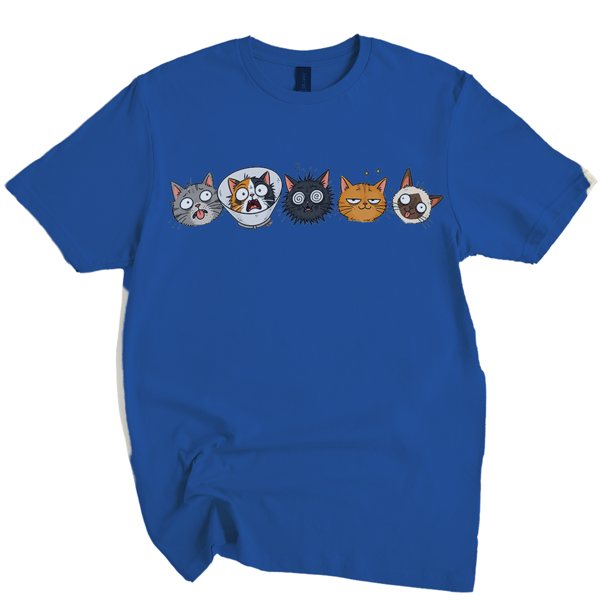 I Was Normal 5 Vets Ago Cat T-Shirt