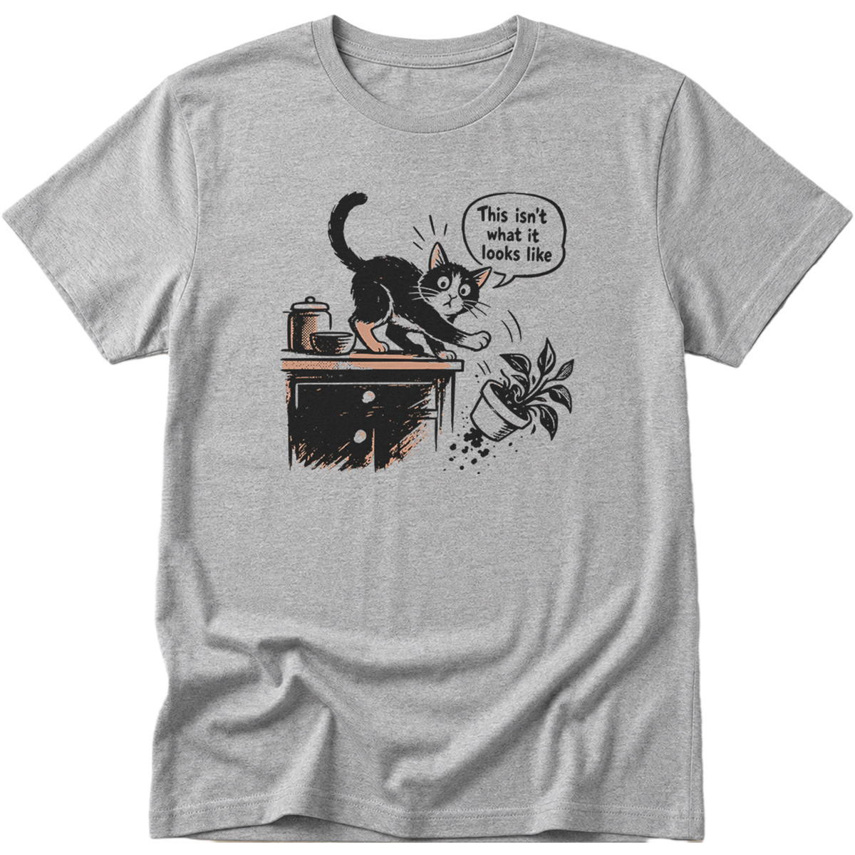 This Isnt What It Looks Like Cat T-Shirt