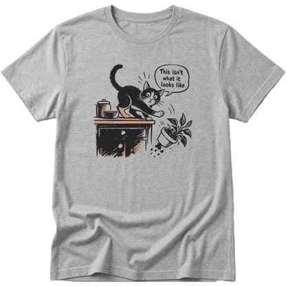This Isnt What It Looks Like Cat T-Shirt