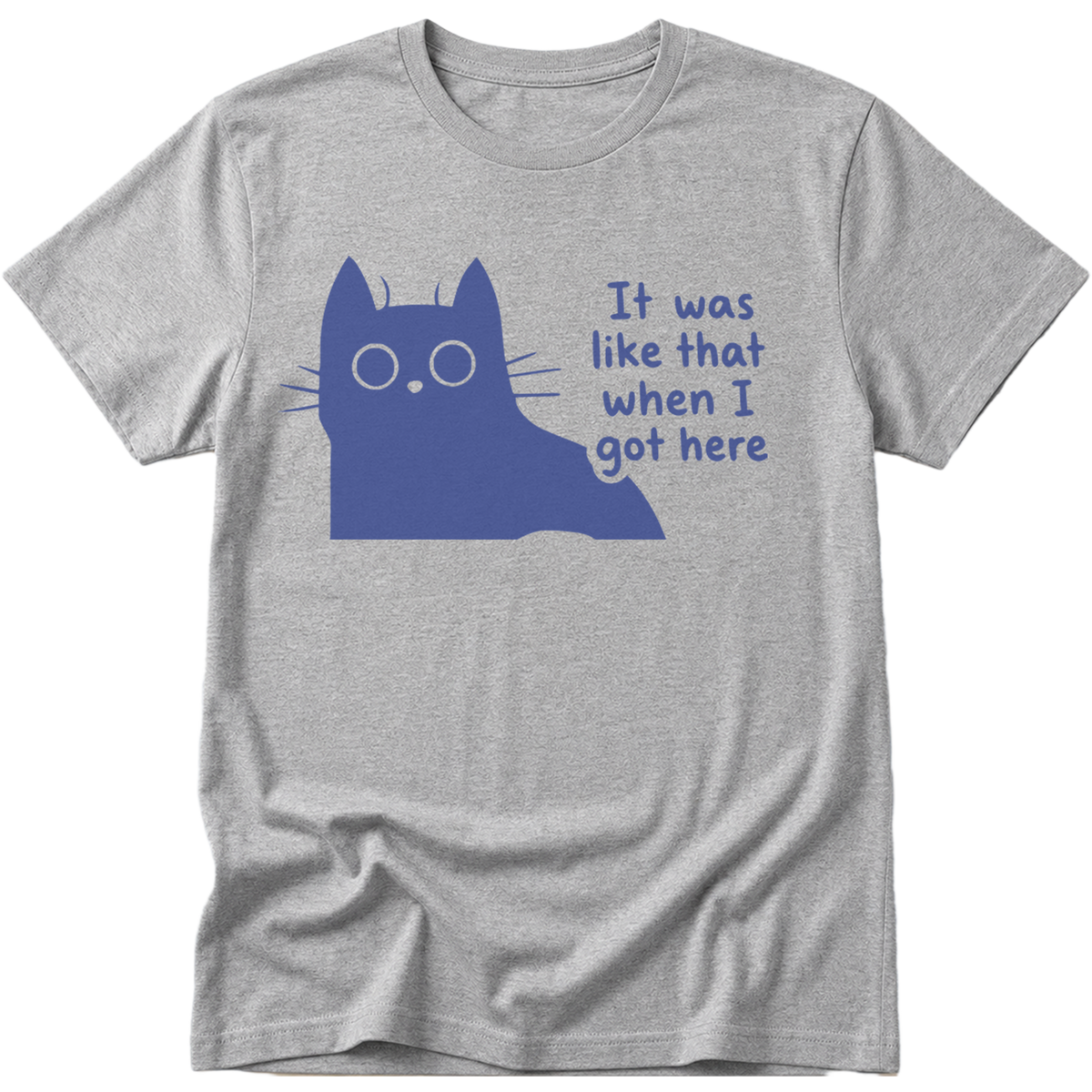 It Was Like That Cat T-Shirt